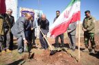  هرسین سرسبزتر می‌شود | اجرای طرح جنگل‌کاری ۷۰ هکتاری هرسین با حضور استاندار کرمانشاه