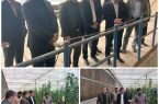 تعلل در راه‌اندازی ایستگاه پمپاژ داجیوند بیش از این قابل قبول نیست/ ضرب‌الاجل بازرسی برای رفع موانع تولید