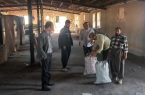 سوله مرغداری، پوششی برای تولید غیرمجاز زغال جنگلی در دالاهو