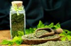 خواص دارویی نعنا خشک؛ ۵ خاصیت منحصر به فرد آن را بدانید