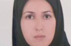 رسالت رسانه ها در توسعه