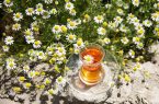 بابونه برای چی خوبه ؟ بهترین زمان مصرف دمنوش بابونه +طبع بابونه در طب سنتی